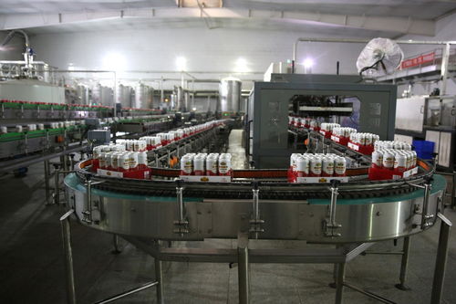 餐桌上的食品安全無(wú)小事,走進(jìn)沈陽(yáng)綠色工廠(chǎng),探訪(fǎng)神秘生產(chǎn)線(xiàn)